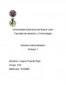 Derecho Administrativo. Ensayo 1