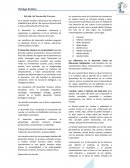 Psicologia Evolutiva. Etapas del ciclo de vida