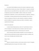 Introducción empresa Stratton Oakmont