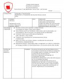 Situacion didactica . Lenguaje y Comunicación