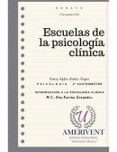 Aprendizaje social: El poder de la observación y la imitación
