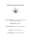 Ensayo sobre los antecedentes de las NIF’S y clasificación de cada una de sus series