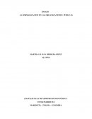 La formalizacion de las organizaciones públicas