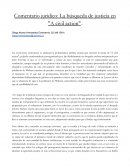 Comentario jurídico: La búsqueda de justicia en "a civil action"