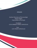 Ensayo Psicología de la Adolescencia
