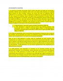 La transcripción en eucariotas