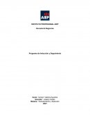 Programa de Inducción y Seguimiento