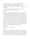 Cultivo de acelga (Beta vulgaris var. Cicla) en sistema hidropónico raíz flotante