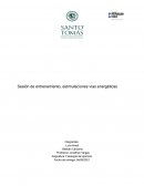Sesión de entrenamiento, estimulaciones vías energéticas