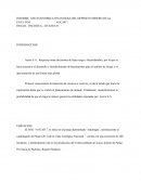 Informacion geologica huanuco - Peru