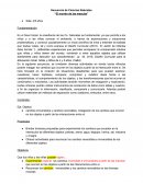 El mundo de las mezclas