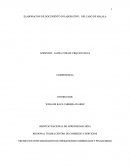ELABORACION DE DOCUMENTO COLABORATIVO. DEL CASO DE MALALA