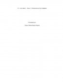 Dimensiones de la ciudadanía