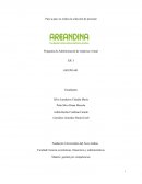 Programa de Administración de empresas virtual