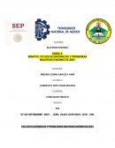 CICLOS ECONÓMICOS Y PROBLEMAS MACROECONÓMICOS 2021