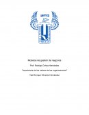 Importancia de los valores de las organizaciones