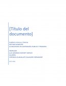 Auditoría Interna y Externa