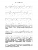 TRANSGÉNICOS ¿Gran amenaza o Avance tecnológico?