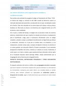 Los centros educativos como organizaciones complejas y multidimensionales