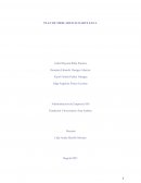 PLAN DE MERCADEO ECOARTE EXCA