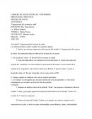 Organización del sistema de salud