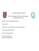 Práctica No.1: Ley de interacción entre polos magnéticos