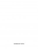 Ensayo de discriminacion positiva