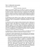 La observación como proceso