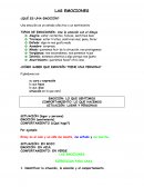 Reconocimiento de emociones, situaciones para niños