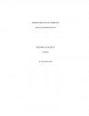 Administracion de empresas. Modelos administrativos