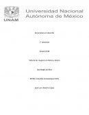 Vida de las mujeres en Roma y Grecia