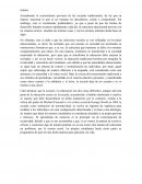 Vueltas al conocimiento