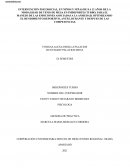 Ejemplo informe psicopedagogico