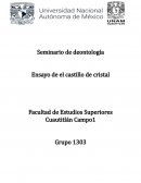 Ensayo de el castillo de cristal