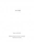 Paradigma Las Vacunas y la Reapertura de las Fronteras Impulsan la Recuperación del Turismo