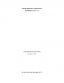 DIAGNOSTICO ORGANIZACIONAL DISTRIBUIDORA LAP