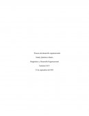 Tarea semana 5 Diagnostico y Desarrollo organizacional