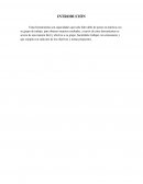 Herramientas Poderosas