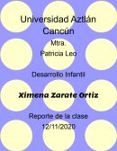 Desarrollo Infantil