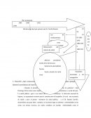 Trabajo practico de sistemas de salud