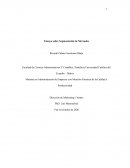 Ensayo sobre Segmentación de Mercados