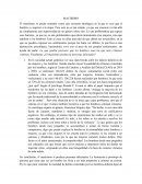 ENSAYO "EL MACHISMO PRODUCIRA PERSONAS DELICTUALES"