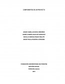 Componentes de un proyecto