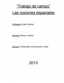 Matematica trabajo de campo profesorado