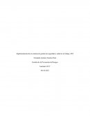 Implementación de un sistema de gestión de seguridad y salud en el trabajo, SST