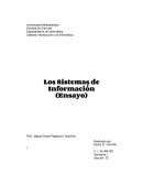 Los Sistemas de Información