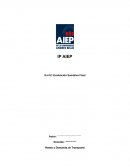 REDES y DEMANDA DE TRANSPORTE