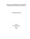 Abandono e irresponsabilidad del estado colombiano frente a la protección de defensores de derechos humanos