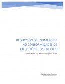 REDUCCIÓN DEL NÚMERO DE NO CONFORMIDADES DE EJECUCIÓN DE PROYECTOS