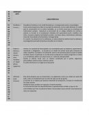 Educación como fenómeno social